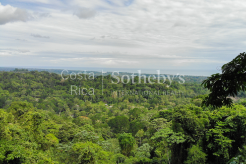 Cahuita-Ocean-and-Jungle-View-Farm-Development-Costa-Rica-Ushombi-3