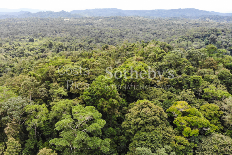 Cahuita-Ocean-and-Jungle-View-Farm-Development-Costa-Rica-Ushombi-9