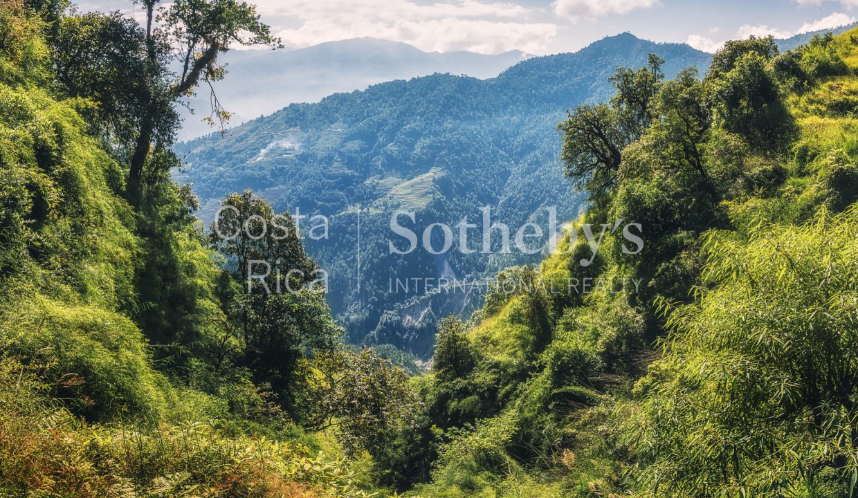 2-5-acre-conservation-land-with-precious-woods-costa-rica-ushombi-1
