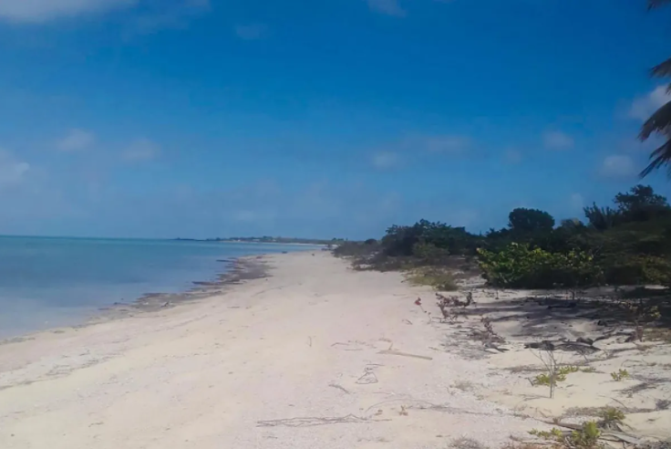 beachfront-acreage-lots-a-and-b-other-bahamas-bahamas-ushombi-5