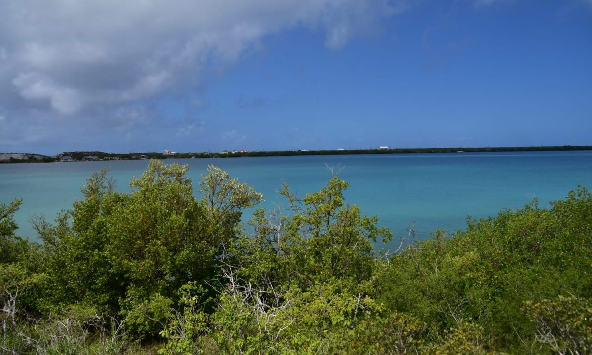 waterfront-land-for-sale-the-ridge-cockburn-town-grand-turk-turks-and-caicos-ushombi-2