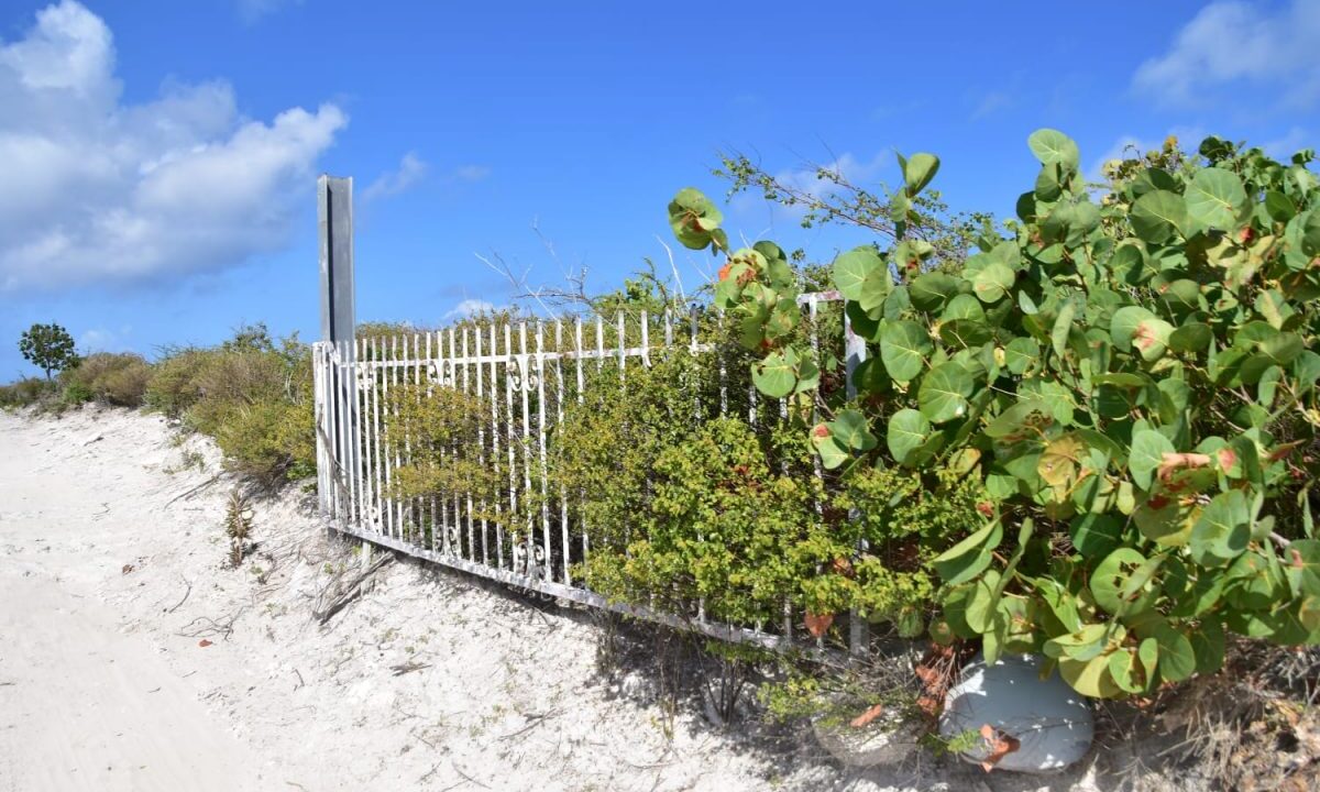 waterfront-land-for-sale-the-ridge-cockburn-town-grand-turk-turks-and-caicos-ushombi-6