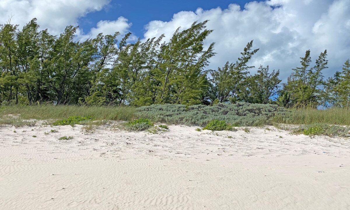french-leave-south-beach-section-b-lots-3-4-french-leave-beach-governors-harbour-eleuthera-ushombi-6
