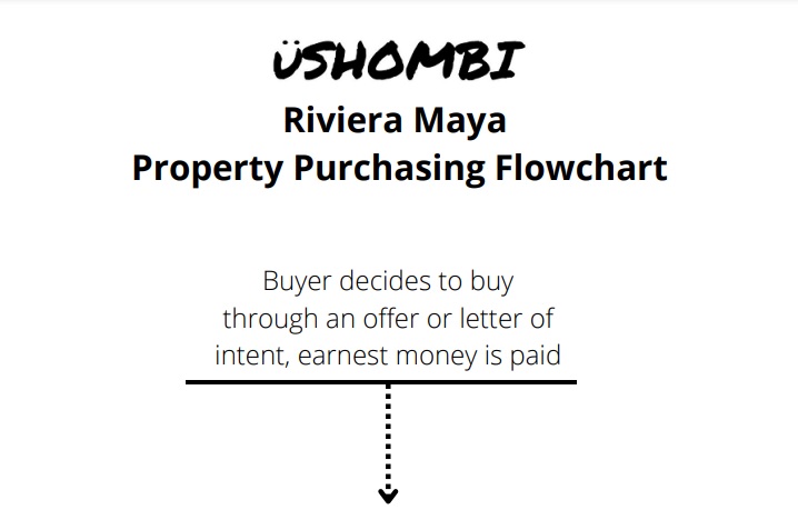 riviera-maya-property-flowchart