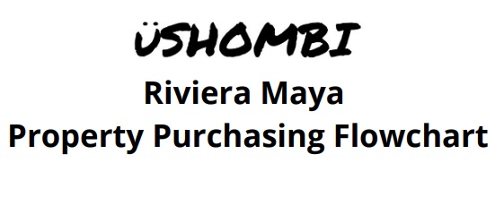 riviera-maya-property-flowchart