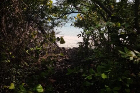 31-32-bardot-beach-in-the-bahamas-great-harbour-cay-bahamas-ushombi-4