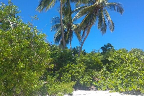 31-32-bardot-beach-in-the-bahamas-great-harbour-cay-bahamas-ushombi-5