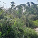 first-street-lot-in-nassau-bahamas
