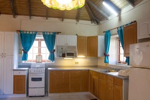 cardiff-hall-greathouse-in-jamaica-cardiff-hall-st-ann-jamaica-ushombi-9