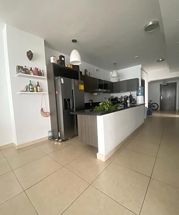 beautiful-2br-penthouse-in-panama-city-panama-city-panama-ushombi-5