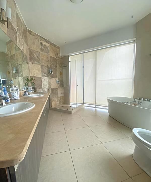 beautiful-2br-penthouse-in-panama-city-panama-city-panama-ushombi-9