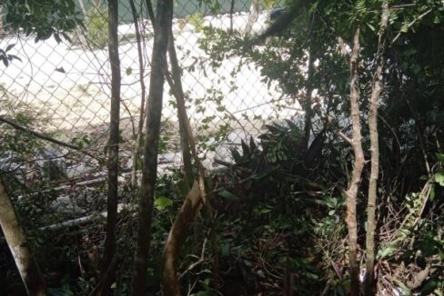 adelaide-village-lot-in-nassau-bahamas-nassau-bahamas-ushombi-3