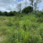 baillou-hill-estates-lot-in-the-bahamas-nassau-bahamas-ushombi