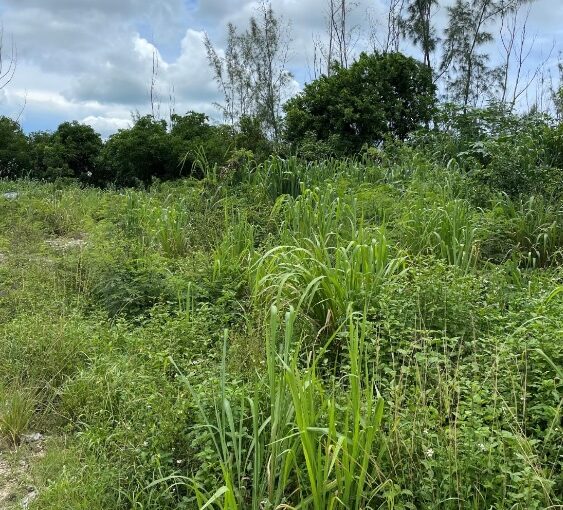 baillou-hill-estates-lot-in-the-bahamas-nassau-bahamas-ushombi