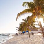 distrito-moreles-brand-new-1br-condo-puerto-morelos-mexico-ushombi
