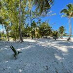 1-6-acre-beachfront-lot-in-cap-cana-cap-cana-dominican-republic-ushombi