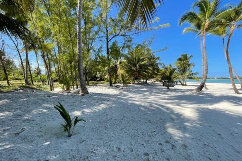 1-6-acre-beachfront-lot-in-cap-cana-cap-cana-dominican-republic-ushombi-1