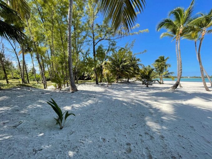 1-6-acre-beachfront-lot-in-cap-cana-cap-cana-dominican-republic-ushombi