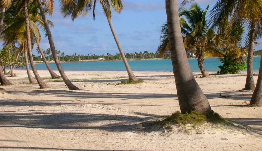 1-6-acre-beachfront-lot-in-cap-cana-cap-cana-dominican-republic-ushombi