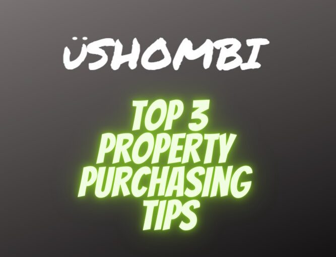 overseas-property-purchasing-tips-ushombi