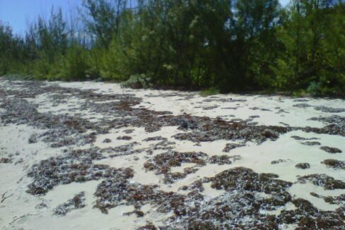 beachfront-pumpkin-bluff-lot-whitby-north-caicos-turks-and-caicos-ushombi-1