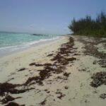 beachfront-pumpkin-bluff-lot-whitby-north-caicos-turks-and-caicos-ushombi