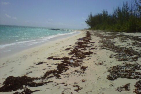 beachfront-pumpkin-bluff-lot-whitby-north-caicos-turks-and-caicos-ushombi-2