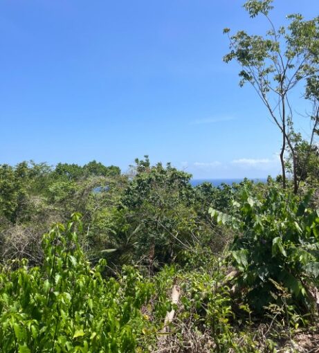 oceanview-2-acre-lot-in-st-ann-jamaica-ocho-rios-jamaica-ushombi