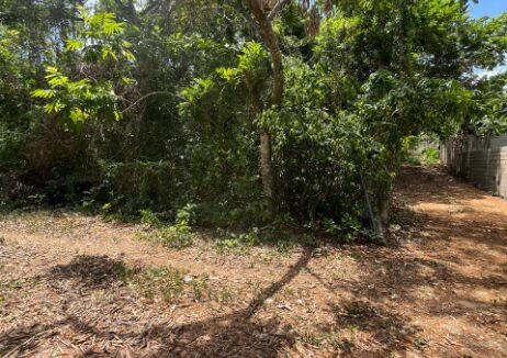 oceanview-2-acre-lot-in-st-ann-jamaica-ocho-rios-jamaica-ushombi-5