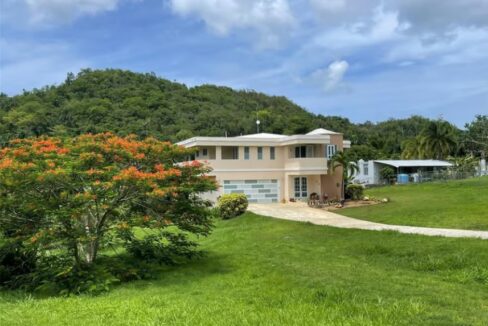 hacienda-don-baro-in-puerto-rico-manati-puerto-rico-ushombi-1