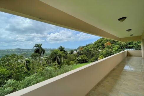 hacienda-don-baro-in-puerto-rico-manati-puerto-rico-ushombi-15