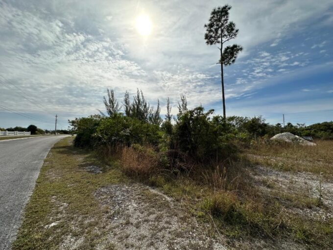 new-33-acre-lot-in-freeport-freeport-grand-bahama-bahamas-ushombi