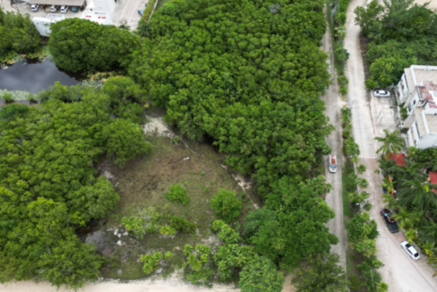 playa-paraiso-mixed-use-2-65-acre-lot-playa-del-carmen-mexico-ushombi-3