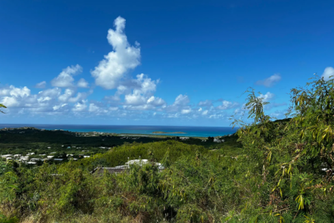 st-croix-mid-east-end-0-61-acre-lot-st-croix-ushombi-2