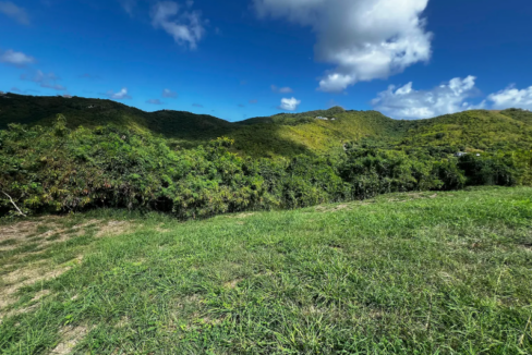 st-croix-mid-east-end-0-61-acre-lot-st-croix-ushombi-3