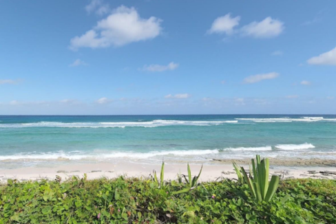 1-31-acre-lot-conch-bar-village-turks-and-caicos-ushombi-4
