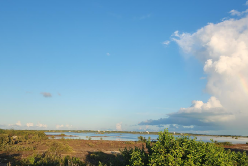 off-tessier-lane-0-35-acre-lot-providenciales-turks-and-caicos-ushombi-2