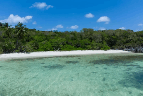 bardot-beach-0-69-acre-beachfront-lot-berry-islands-bahamas-ushombi-3
