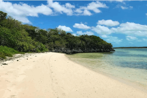 bardot-beach-0-69-acre-beachfront-lot-berry-islands-bahamas-ushombi-4