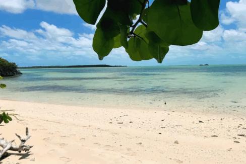 bardot-beach-0-69-acre-beachfront-lot-berry-islands-bahamas-ushombi-5