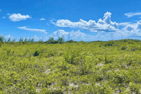 150-anegada-0-517-acres-anegada-british-virgin-islands-ushombi-1
