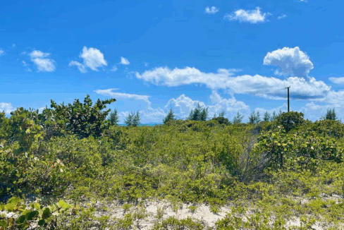 150-anegada-0-517-acres-anegada-british-virgin-islands-ushombi-4