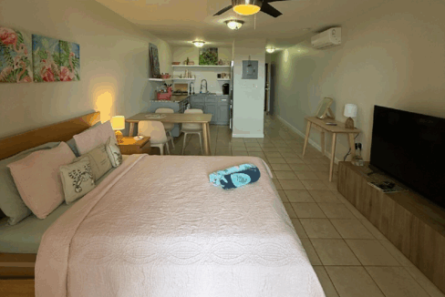 289-smith-bay-st-thomas-1br-condo-st-thomas-usvi-ushombi-3