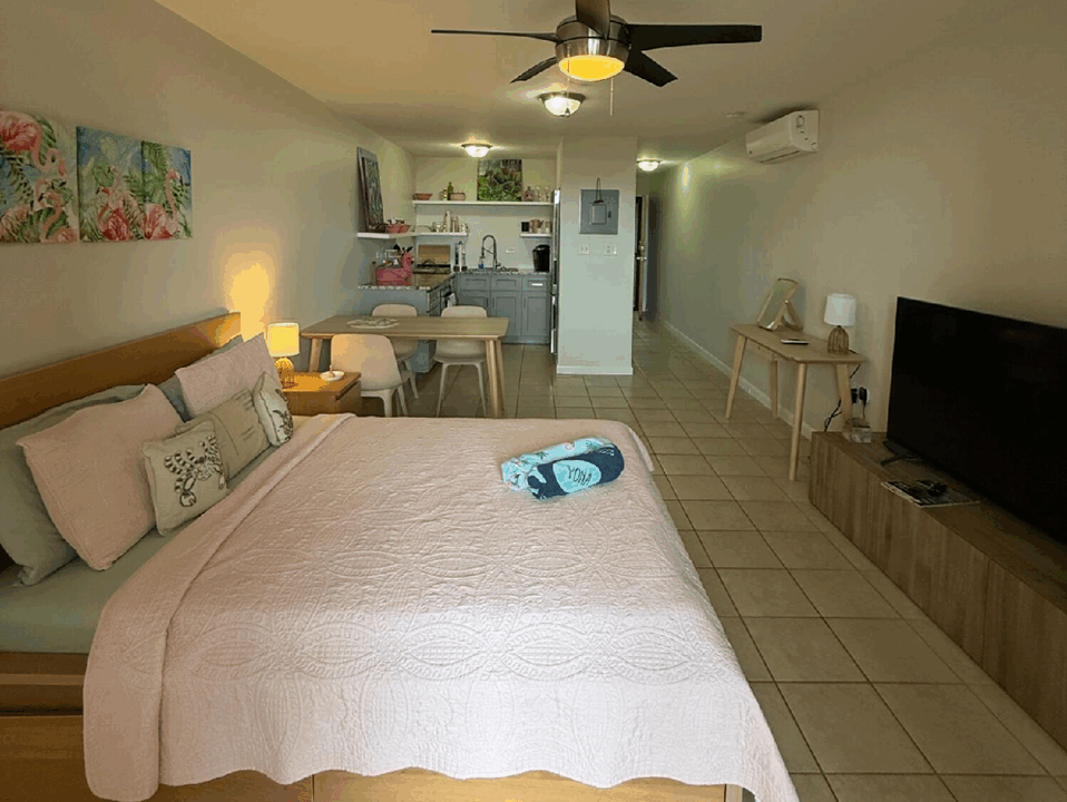 289-smith-bay-st-thomas-1br-condo-st-thomas-usvi-ushombi-3