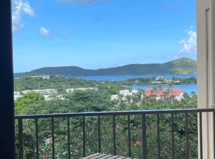 289-smith-bay-st-thomas-1br-condo-st-thomas-usvi-ushombi-5