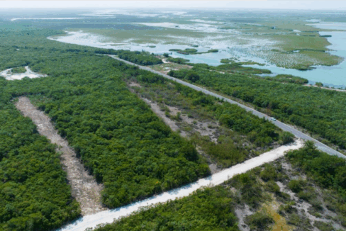 bellefield-landing-parcel-north-caicos-turks-and-caicos-ushombi-3