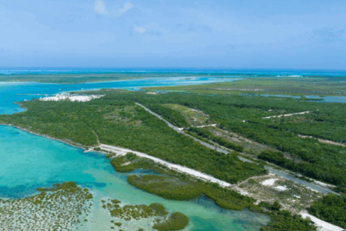 bellefield-landing-parcel-north-caicos-turks-and-caicos-ushombi-4