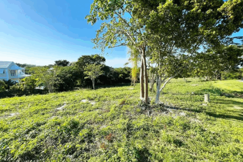 lyford-cay-0-50-acre-lot-nassau-bahamas-ushombi-2