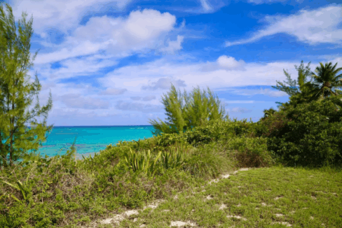 palmetto-point-0-62-acre-lot-eleuthera-bahamas-ushombi-1