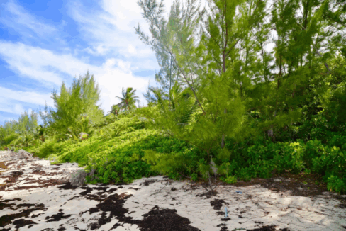 palmetto-point-0-62-acre-lot-eleuthera-bahamas-ushombi-2